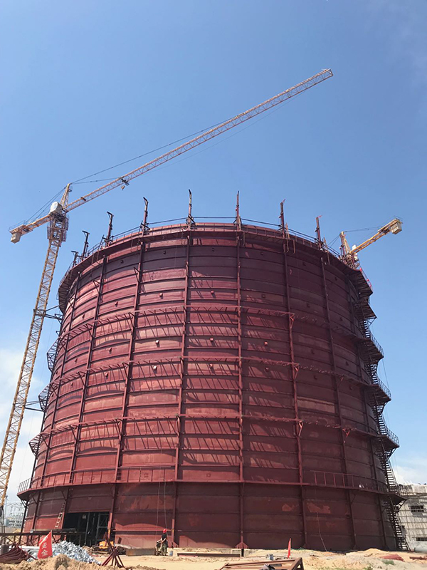 最新91视频网站