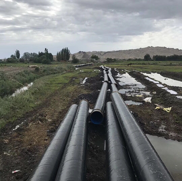 91视频网站导航