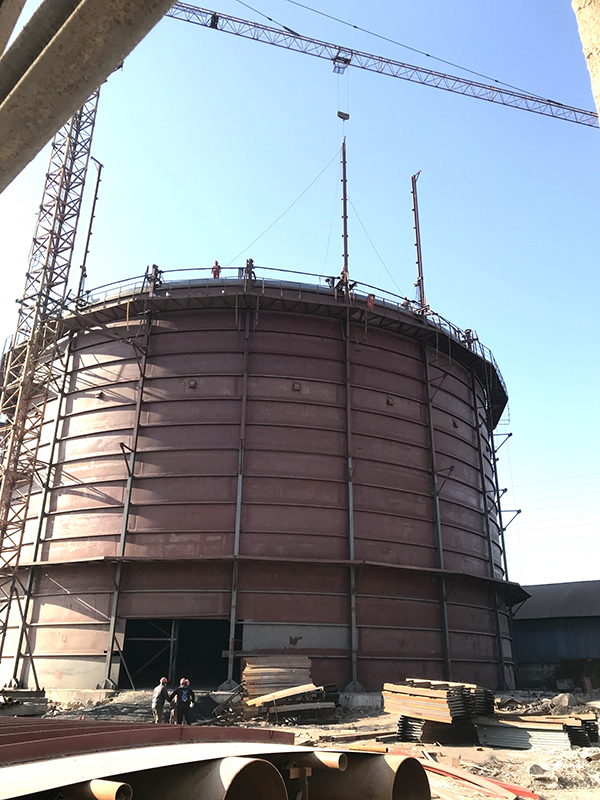 最新91视频网站