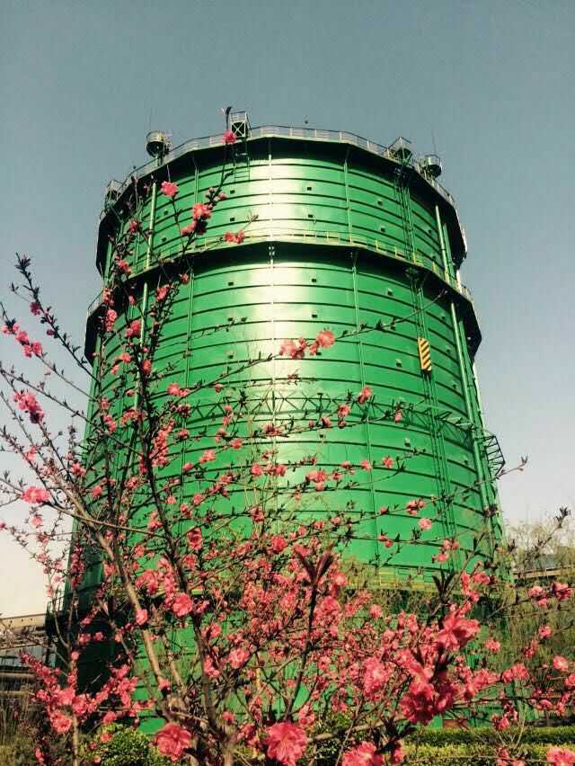 91视频大全黄色