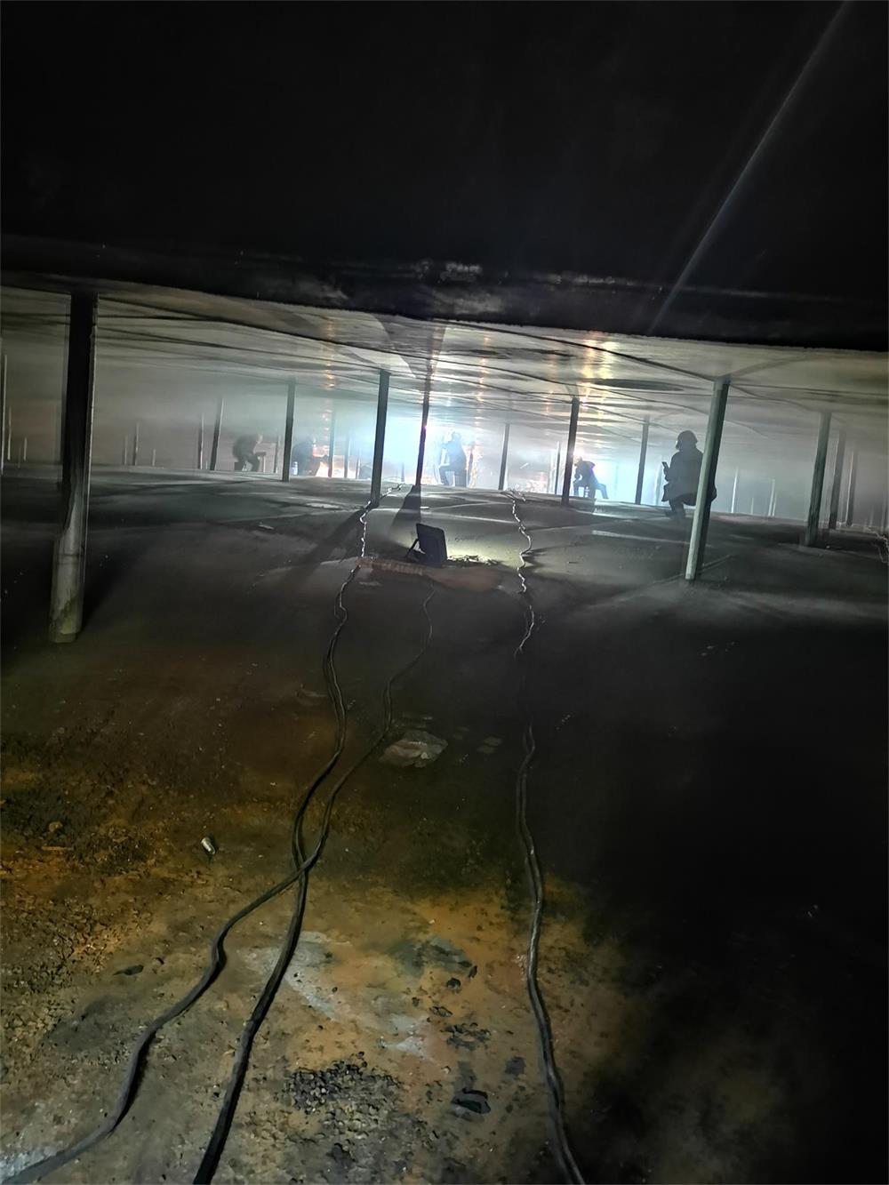 最新91视频网站